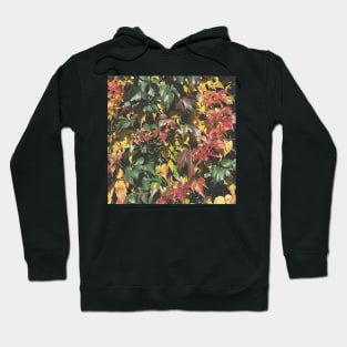 Amazing Autumn Leaves Hoodie